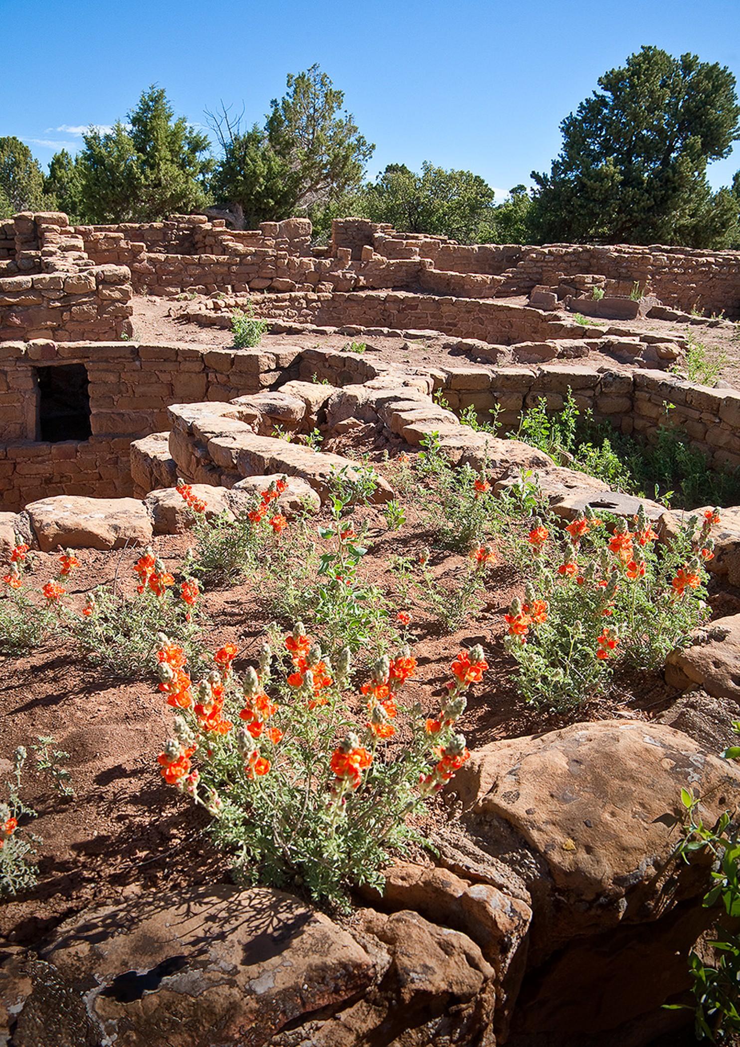Far View Lodge Mesa Verde National Park Exterior photo
